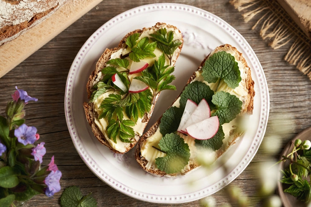 Exploring Garlic Mustards Versatility in the Kitchen