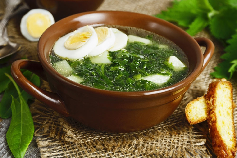 sorrel and nettle soup, foraging for free food in Ireland